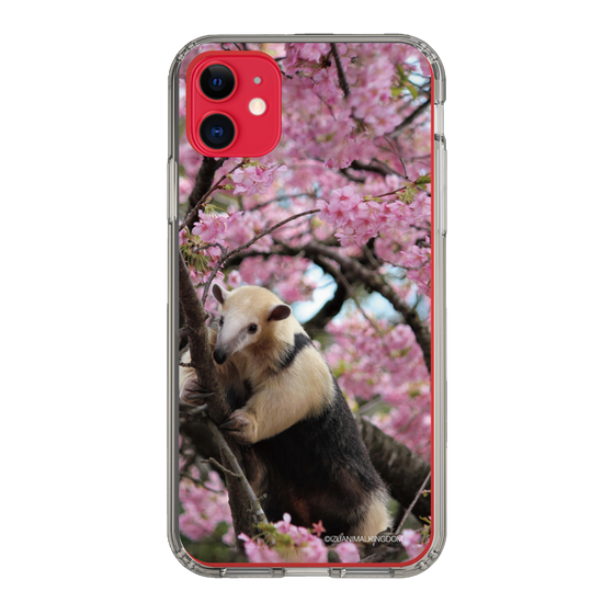 Slim Protection Case［ The Izu Animal Kingdom - Anteater ］