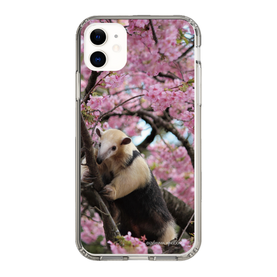 Slim Protection Case［ The Izu Animal Kingdom - Anteater ］