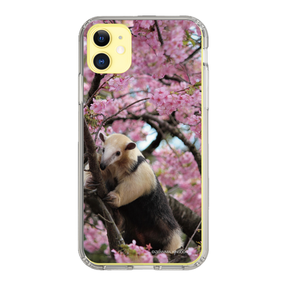 Slim Protection Case［ The Izu Animal Kingdom - Anteater ］