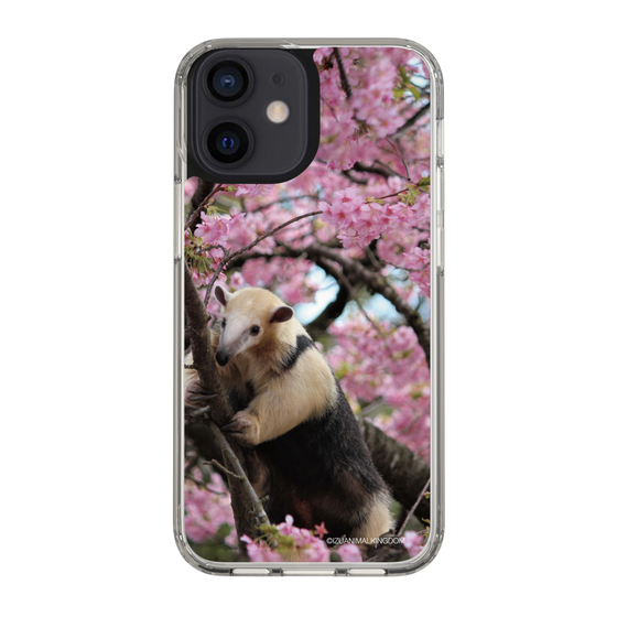 Slim Protection Case［ The Izu Animal Kingdom - Anteater ］
