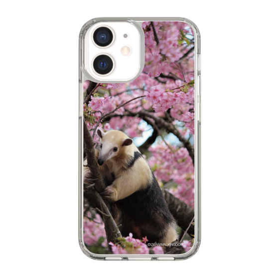 Slim Protection Case［ The Izu Animal Kingdom - Anteater ］