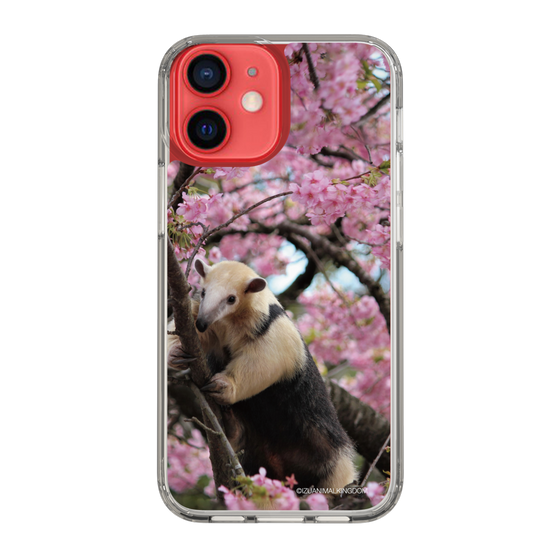 Slim Protection Case［ The Izu Animal Kingdom - Anteater ］