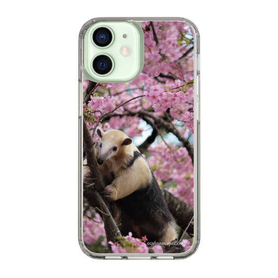 Slim Protection Case［ The Izu Animal Kingdom - Anteater ］