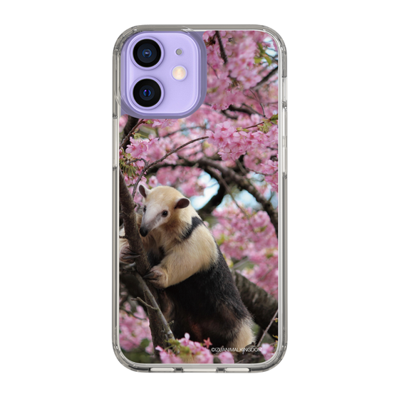 Slim Protection Case［ The Izu Animal Kingdom - Anteater ］