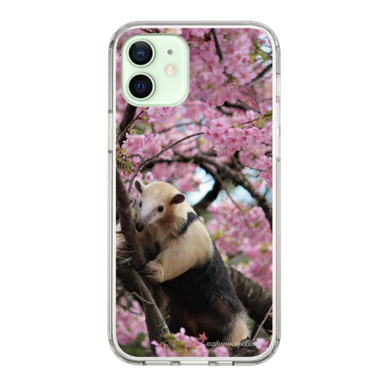 Slim Protection Case［ The Izu Animal Kingdom - Anteater ］