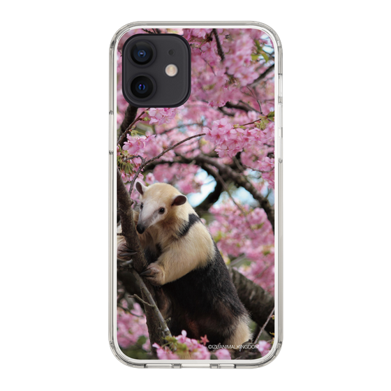 Slim Protection Case［ The Izu Animal Kingdom - Anteater ］