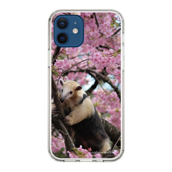 Slim Protection Case［ The Izu Animal Kingdom - Anteater ］