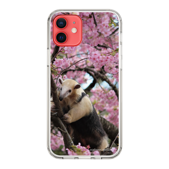 Slim Protection Case［ The Izu Animal Kingdom - Anteater ］