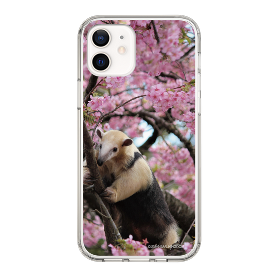 Slim Protection Case［ The Izu Animal Kingdom - Anteater ］