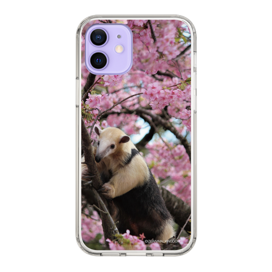 Slim Protection Case［ The Izu Animal Kingdom - Anteater ］