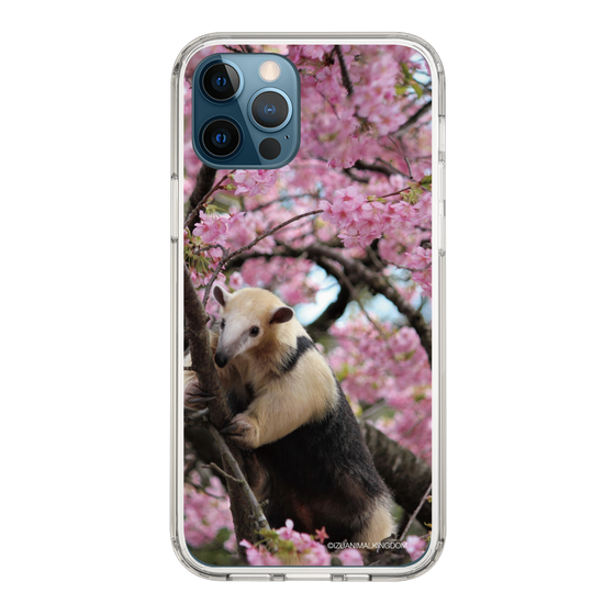Slim Protection Case［ The Izu Animal Kingdom - Anteater ］
