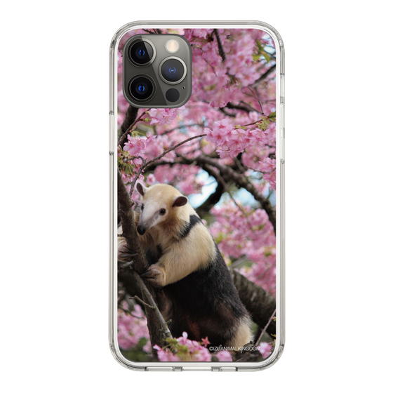 Slim Protection Case［ The Izu Animal Kingdom - Anteater ］