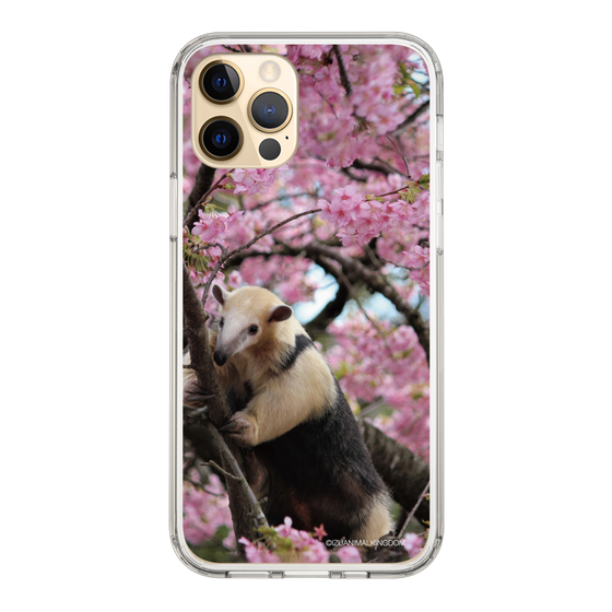 Slim Protection Case［ The Izu Animal Kingdom - Anteater ］