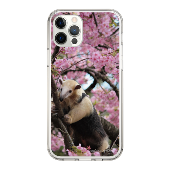 Slim Protection Case［ The Izu Animal Kingdom - Anteater ］
