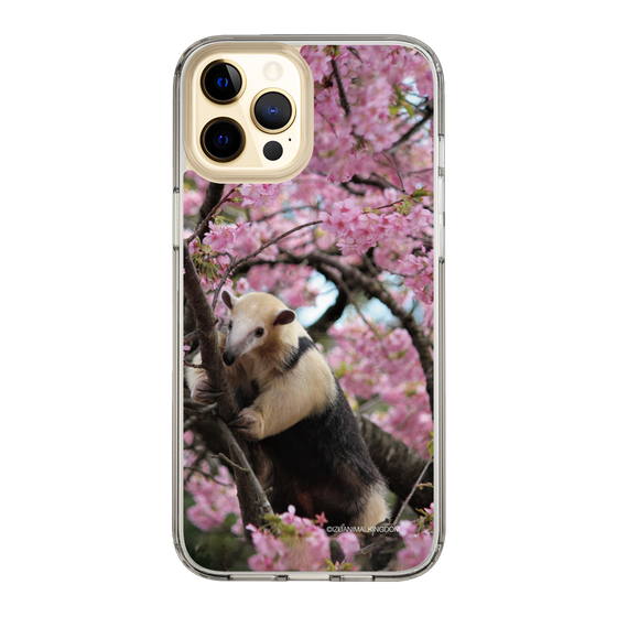 Slim Protection Case［ The Izu Animal Kingdom - Anteater ］