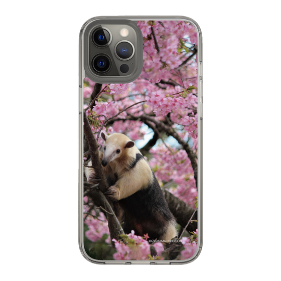Slim Protection Case［ The Izu Animal Kingdom - Anteater ］