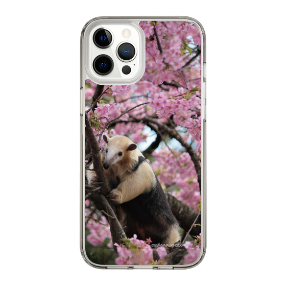 Slim Protection Case［ The Izu Animal Kingdom - Anteater ］