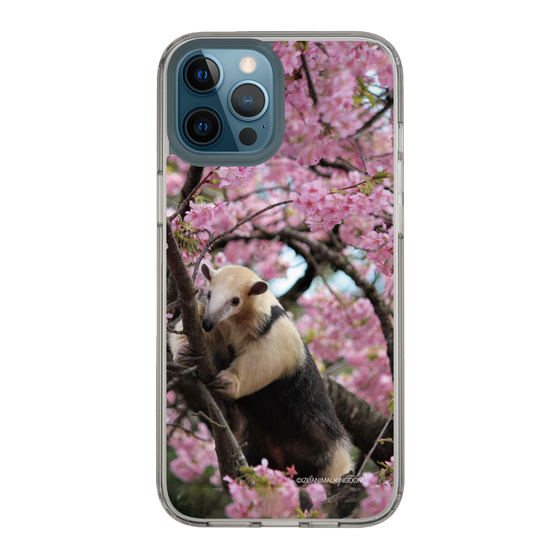Slim Protection Case［ The Izu Animal Kingdom - Anteater ］