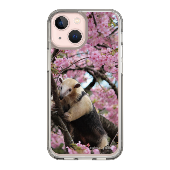 Slim Protection Case［ The Izu Animal Kingdom - Anteater ］