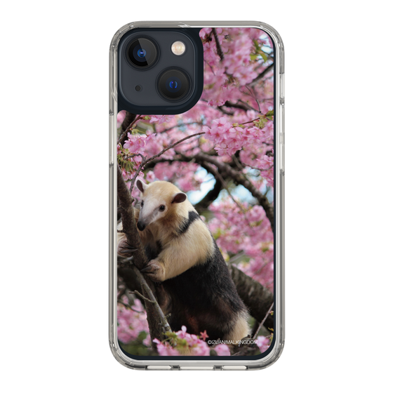 Slim Protection Case［ The Izu Animal Kingdom - Anteater ］