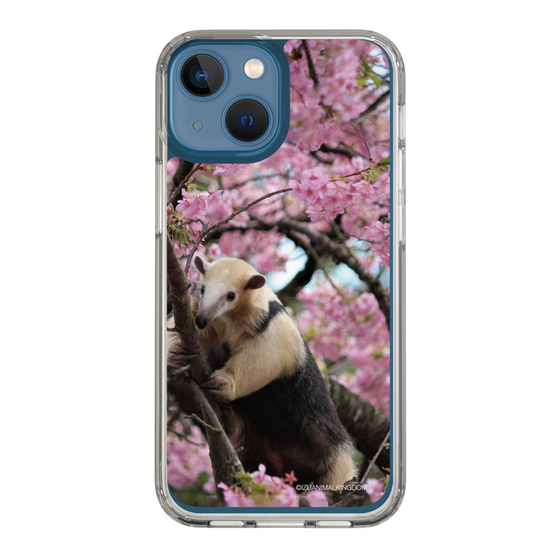 Slim Protection Case［ The Izu Animal Kingdom - Anteater ］