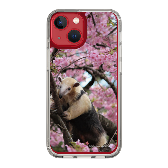 Slim Protection Case［ The Izu Animal Kingdom - Anteater ］