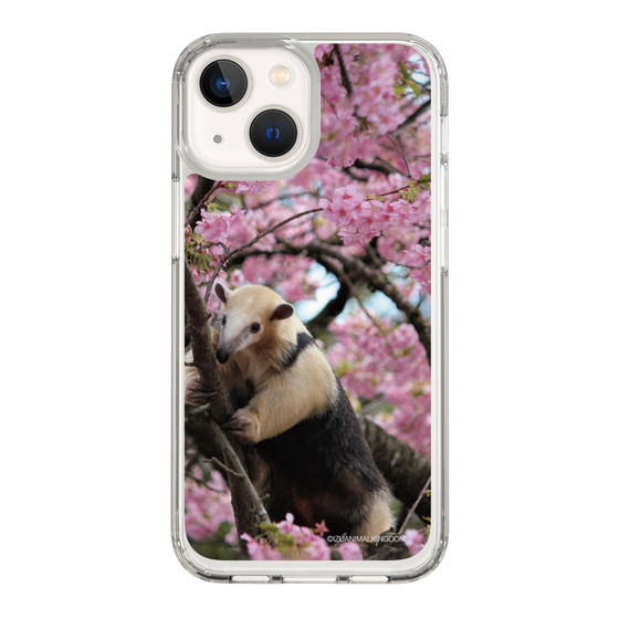 Slim Protection Case［ The Izu Animal Kingdom - Anteater ］