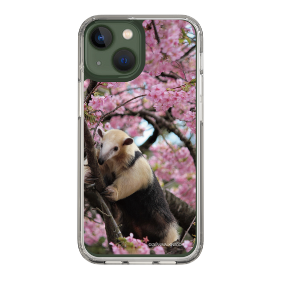 Slim Protection Case［ The Izu Animal Kingdom - Anteater ］