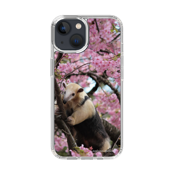 Slim Protection Case［ The Izu Animal Kingdom - Anteater ］