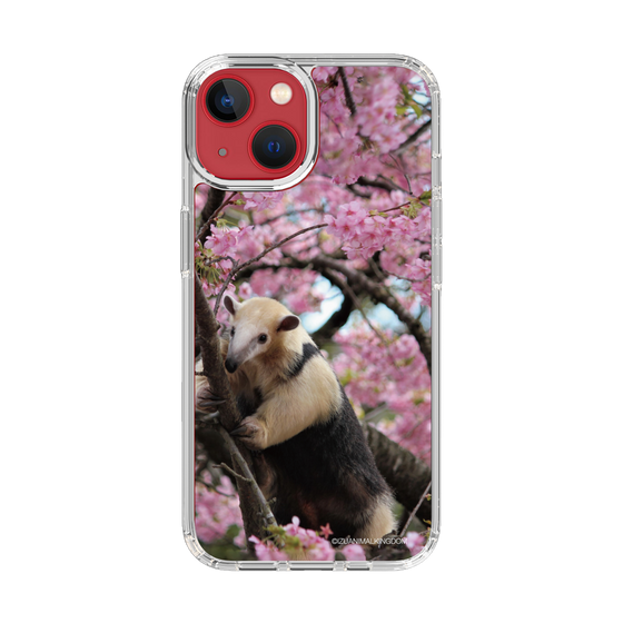 Slim Protection Case［ The Izu Animal Kingdom - Anteater ］