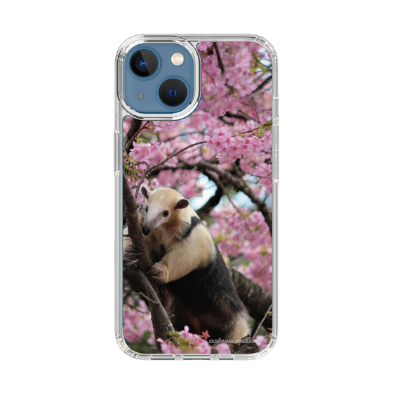 Slim Protection Case［ The Izu Animal Kingdom - Anteater ］