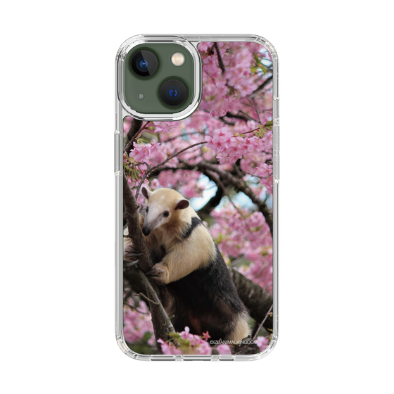 Slim Protection Case［ The Izu Animal Kingdom - Anteater ］