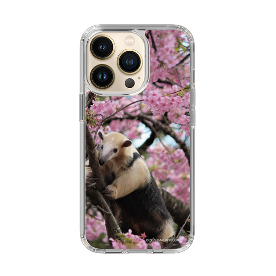 Slim Protection Case［ The Izu Animal Kingdom - Anteater ］