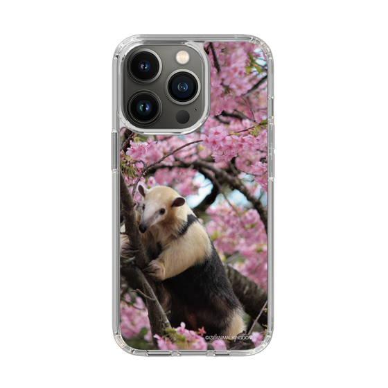 Slim Protection Case［ The Izu Animal Kingdom - Anteater ］