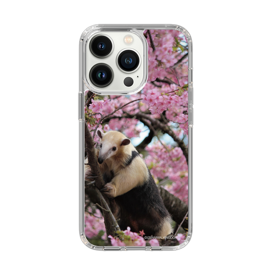 Slim Protection Case［ The Izu Animal Kingdom - Anteater ］