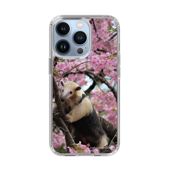 Slim Protection Case［ The Izu Animal Kingdom - Anteater ］