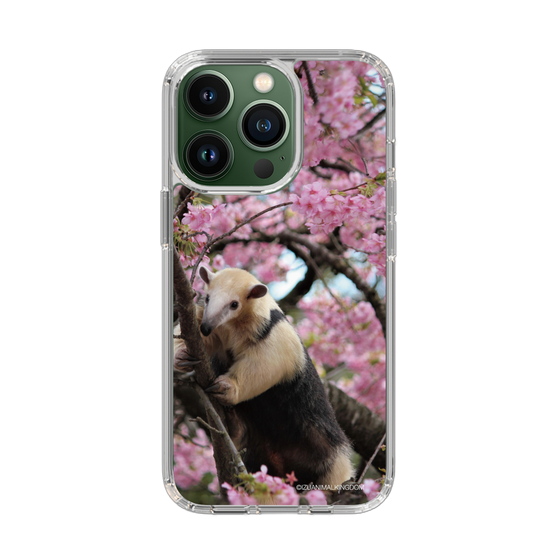 Slim Protection Case［ The Izu Animal Kingdom - Anteater ］