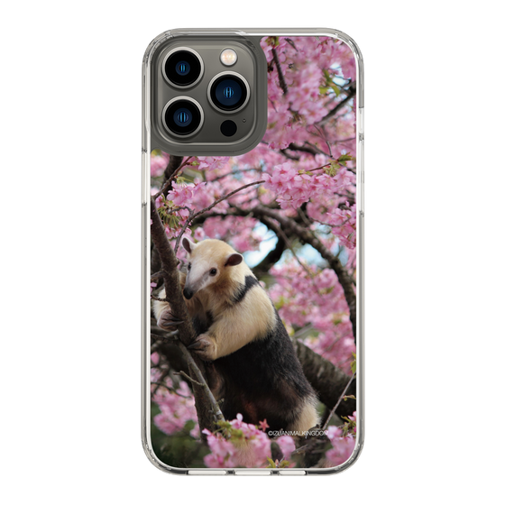 Slim Protection Case［ The Izu Animal Kingdom - Anteater ］