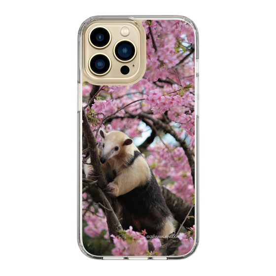 Slim Protection Case［ The Izu Animal Kingdom - Anteater ］
