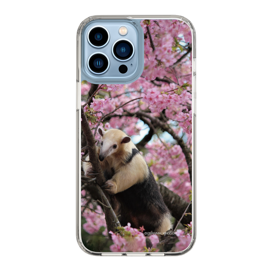 Slim Protection Case［ The Izu Animal Kingdom - Anteater ］