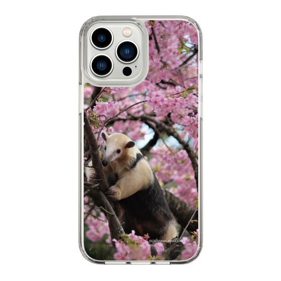 Slim Protection Case［ The Izu Animal Kingdom - Anteater ］