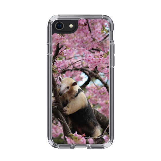 Slim Protection Case［ The Izu Animal Kingdom - Anteater ］