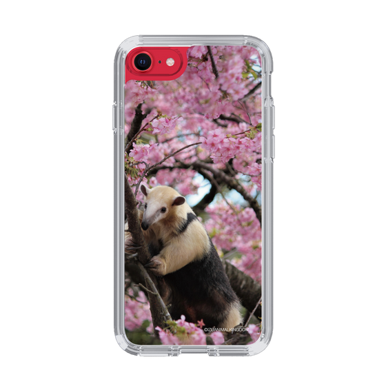 Slim Protection Case［ The Izu Animal Kingdom - Anteater ］