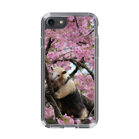 Slim Protection Case［ The Izu Animal Kingdom - Anteater ］
