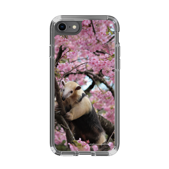 Slim Protection Case［ The Izu Animal Kingdom - Anteater ］