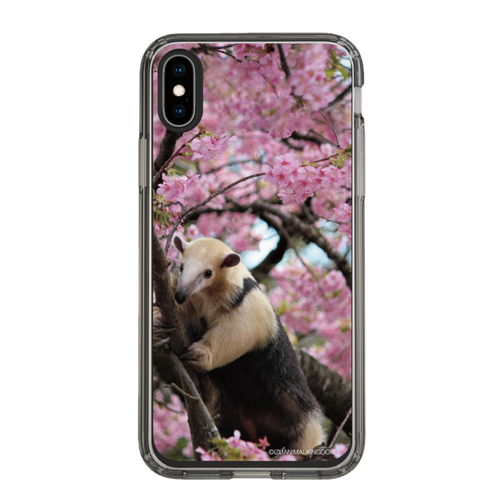 Slim Protection Case［ The Izu Animal Kingdom - Anteater ］