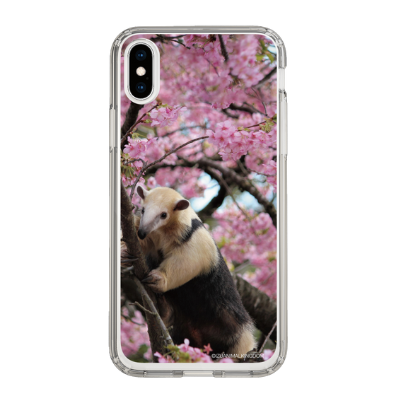 Slim Protection Case［ The Izu Animal Kingdom - Anteater ］