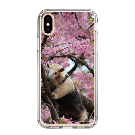 Slim Protection Case［ The Izu Animal Kingdom - Anteater ］
