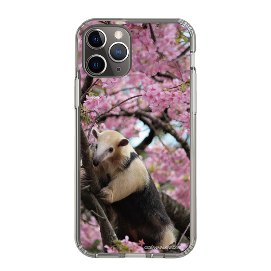 Slim Protection Case［ The Izu Animal Kingdom - Anteater ］