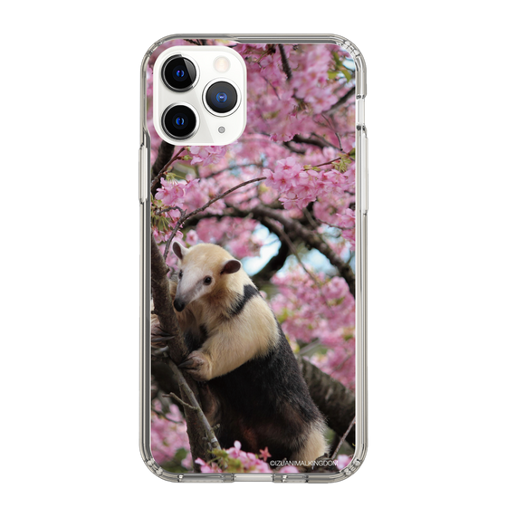 Slim Protection Case［ The Izu Animal Kingdom - Anteater ］
